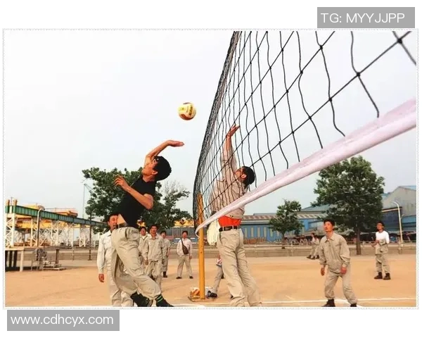 排球速度之巅北京排球队荣登榜首引领全国风潮