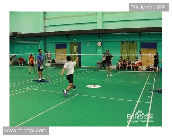 杭州羽毛球队挑战赛精彩点评与节奏掌控分析