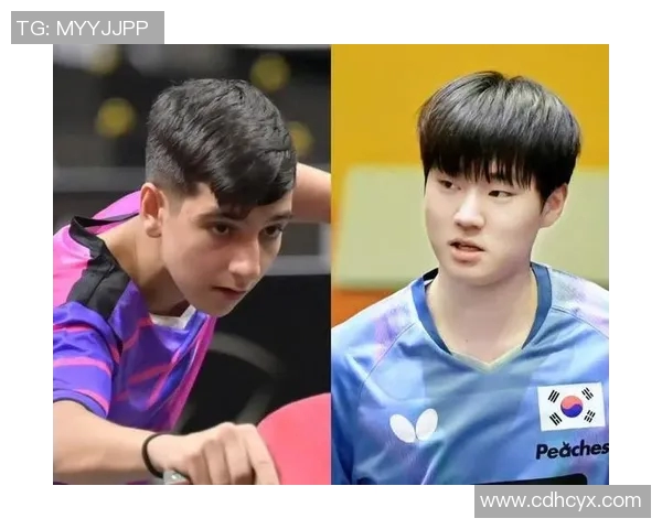 南京乒乓球队实力变革引发热议探索新阶段的挑战与机遇