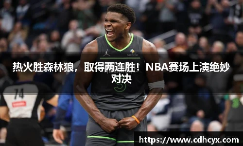 热火胜森林狼，取得两连胜！NBA赛场上演绝妙对决