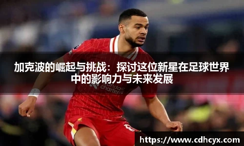 九州酷游平台